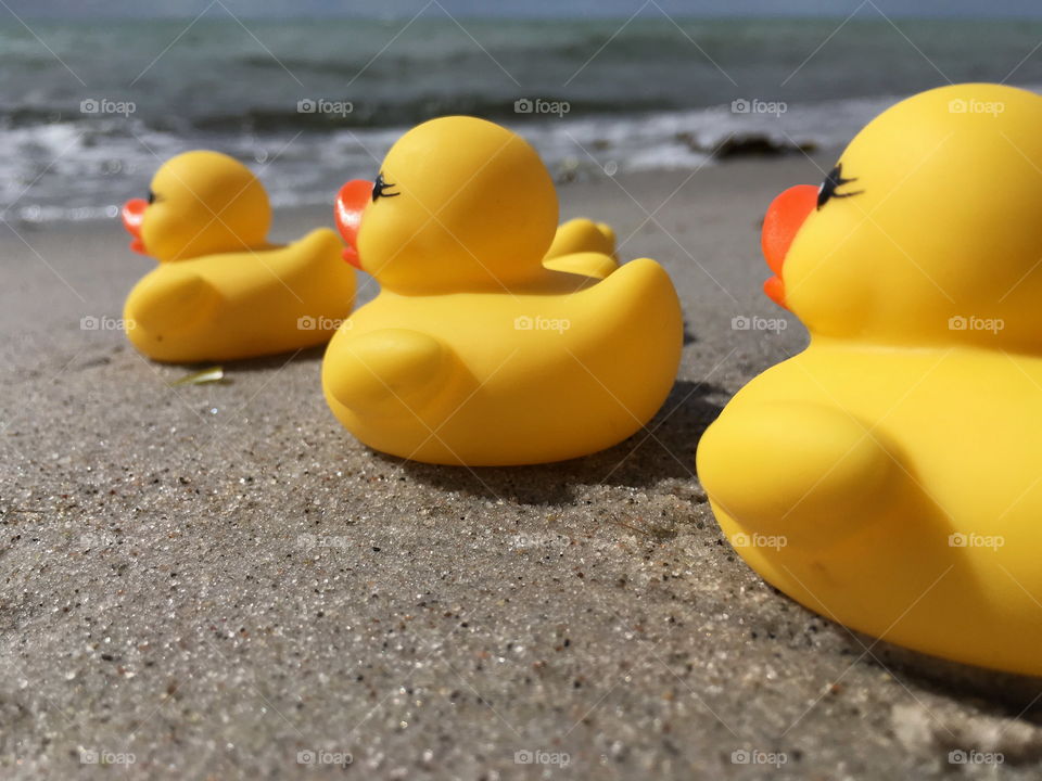 Rubber ducks at the beach.