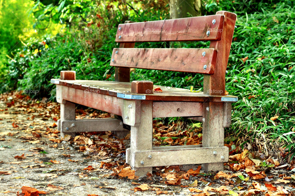 Bench in park in autumn 