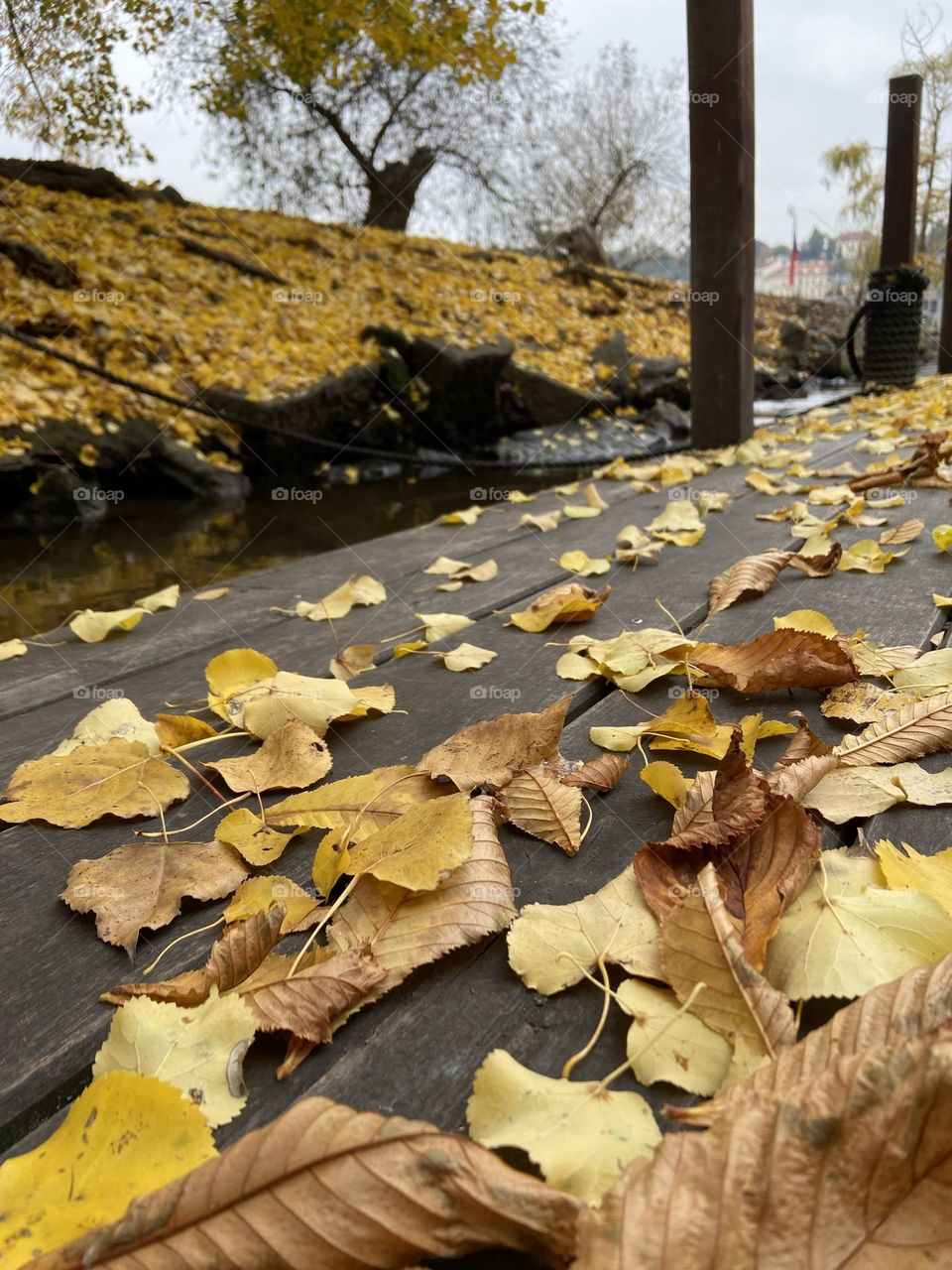 Autumn leaves on a wooden deck next to a river bank covered with yellow leaves.