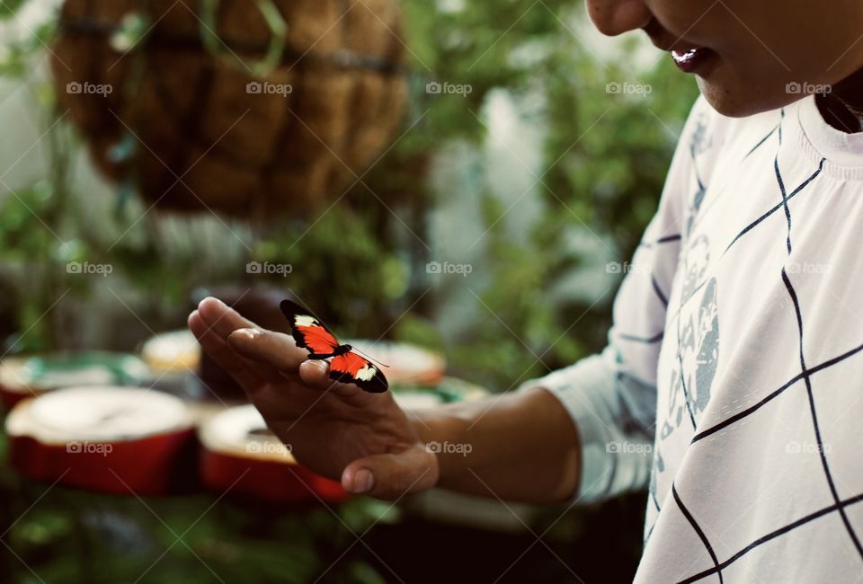 Amazing butterfly with red wings on boy finger 