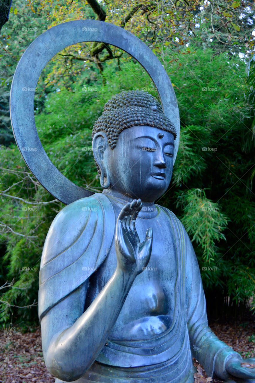 Buddha. Zen garden 