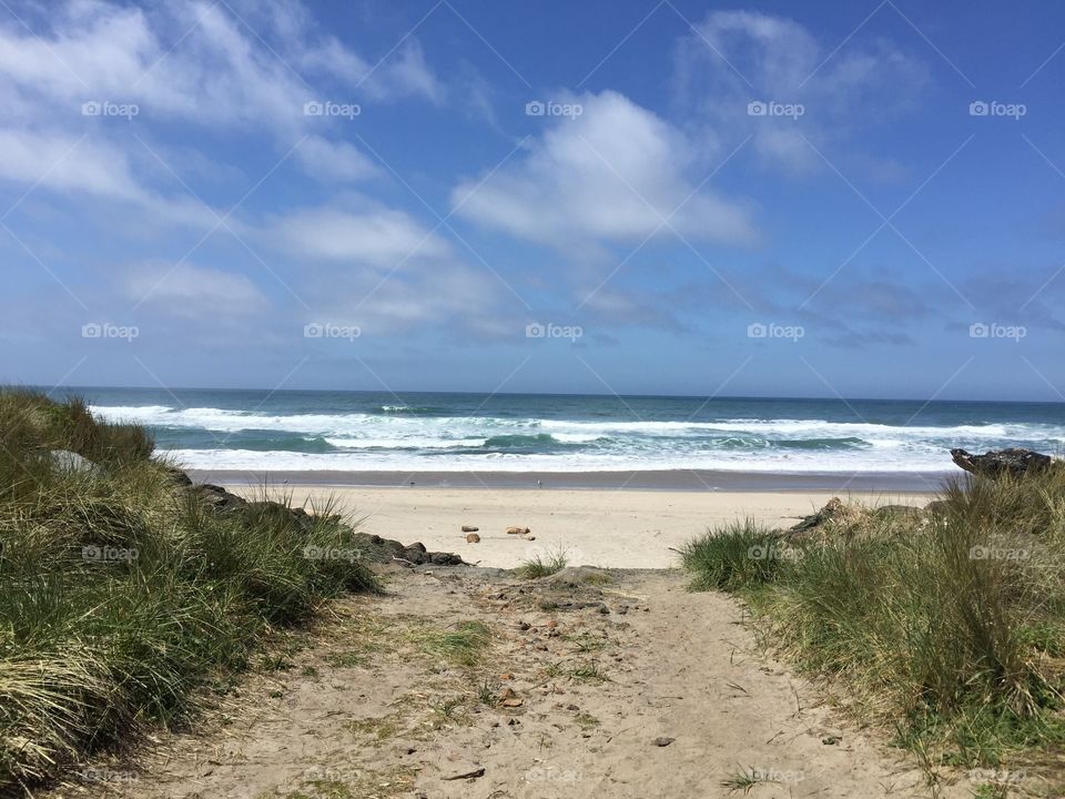 Ocean beach path