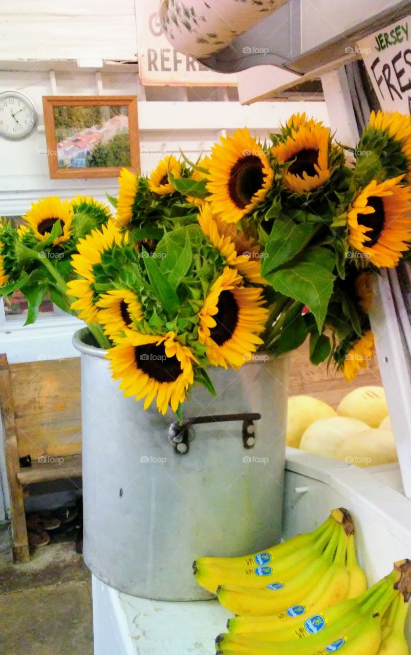 Sunflowers at the NJ Farmers Market!