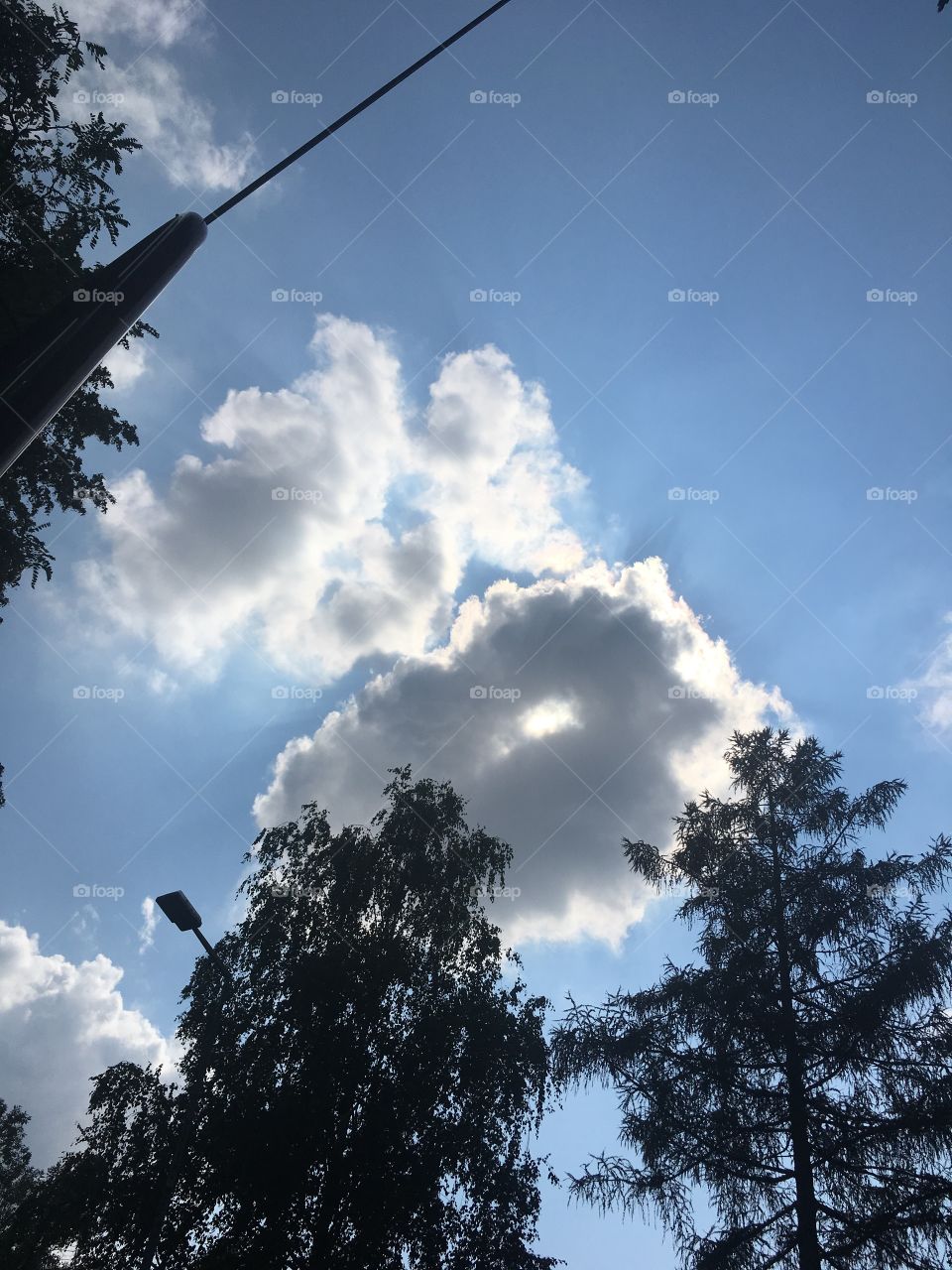 The clouds