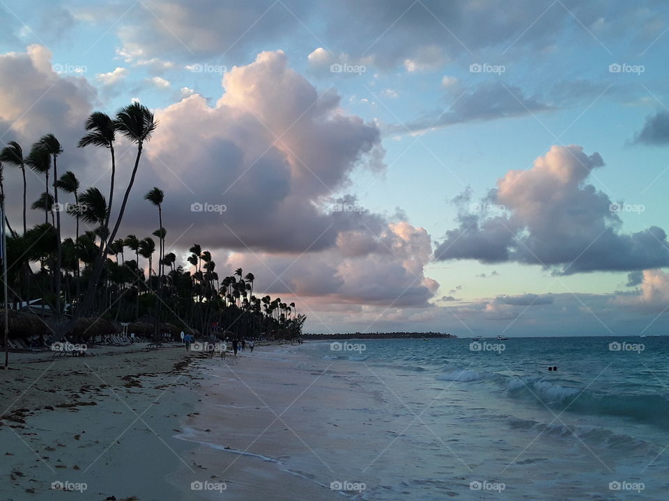 clouds ocean palm trees deserted beach