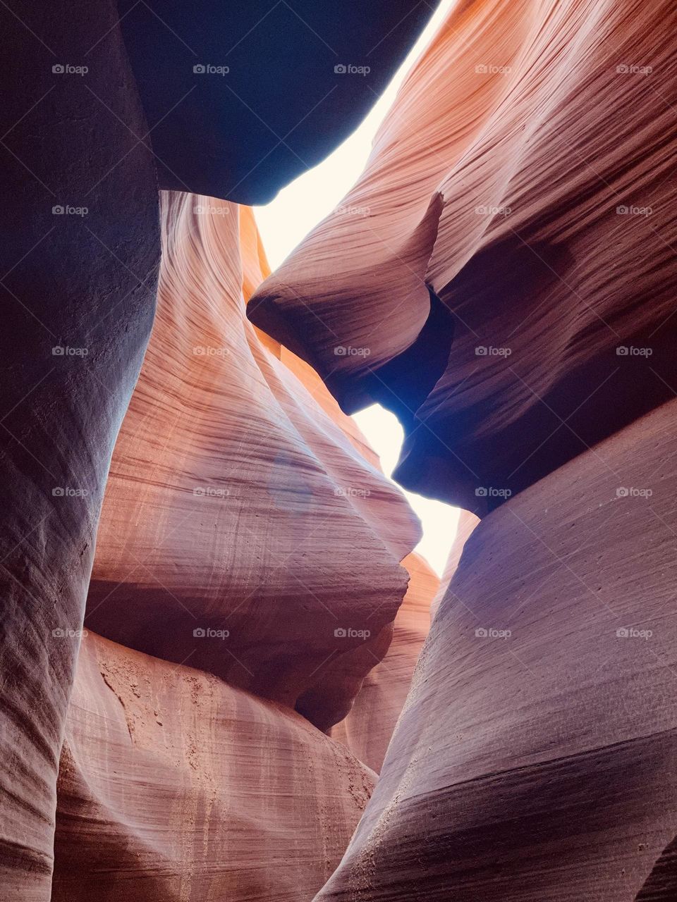 Bruce the smiling shark -  lower antelope canyon