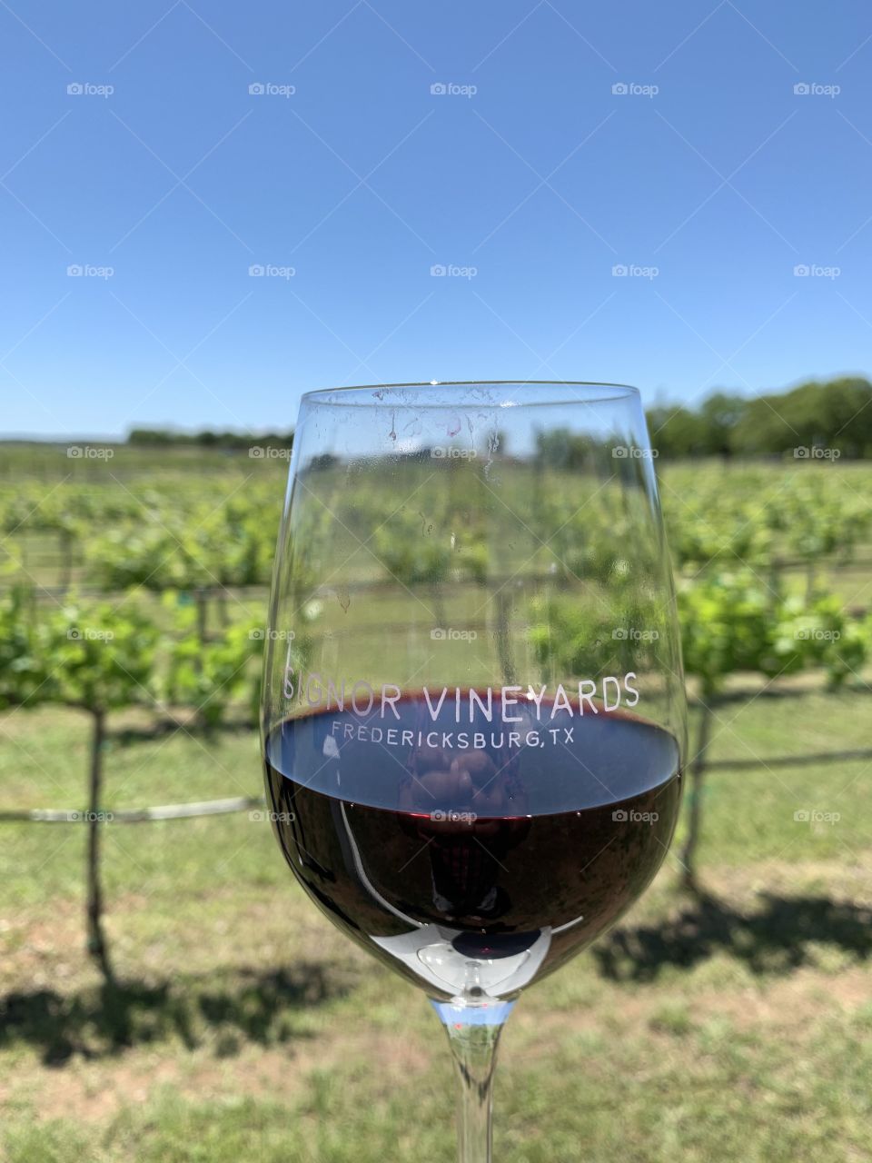 Winery