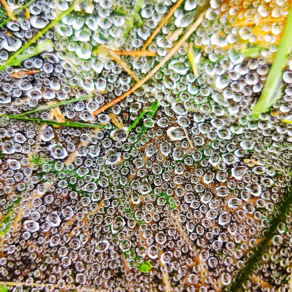 Drops