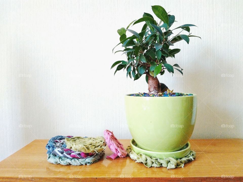 ficus flower and knitted mats