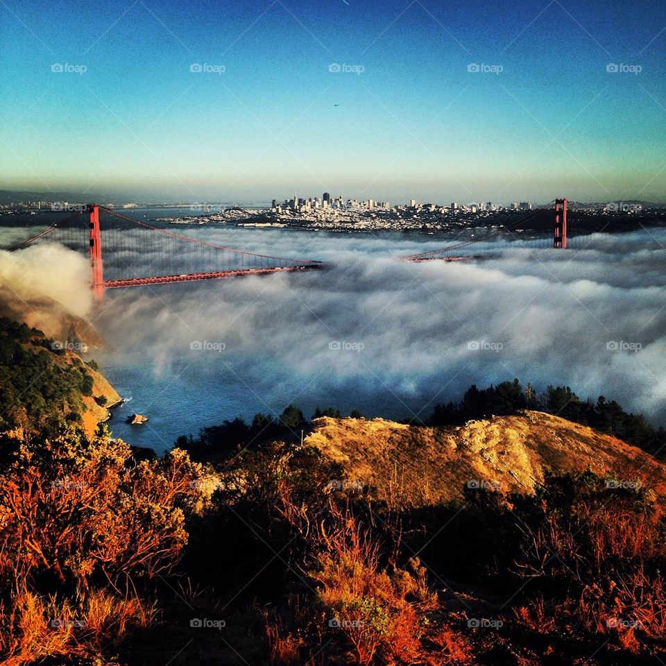 Heaven's Golden Gate