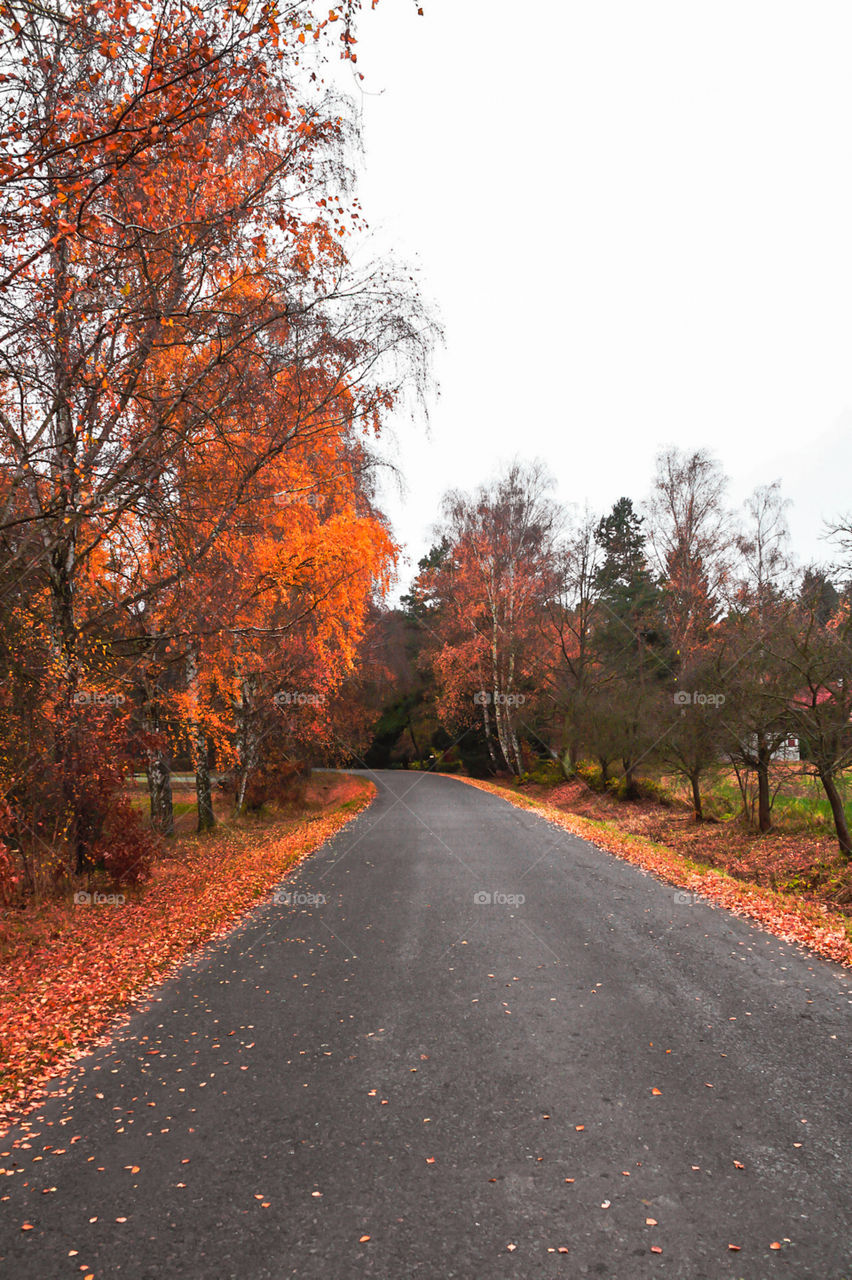 Beautiful day in Czech 