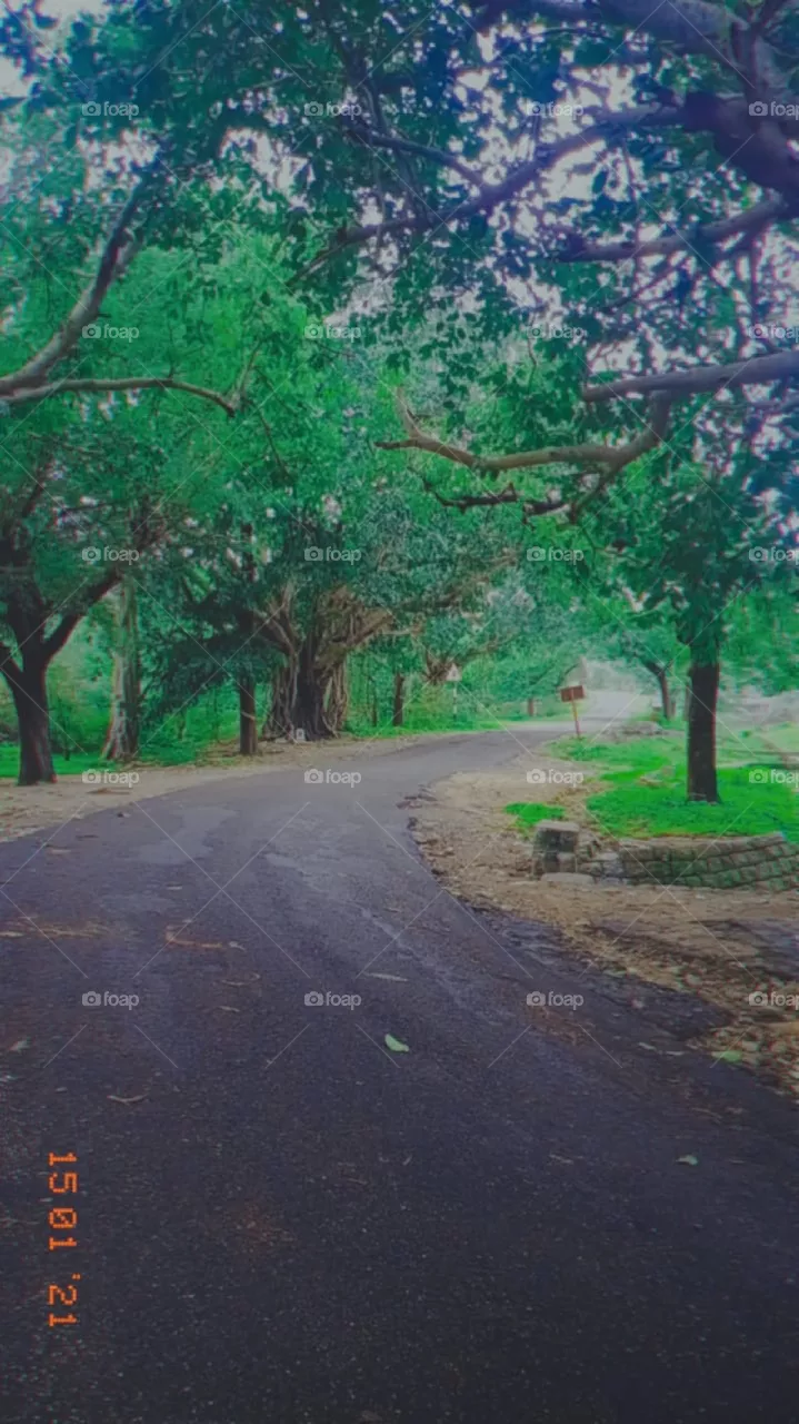 way of nature