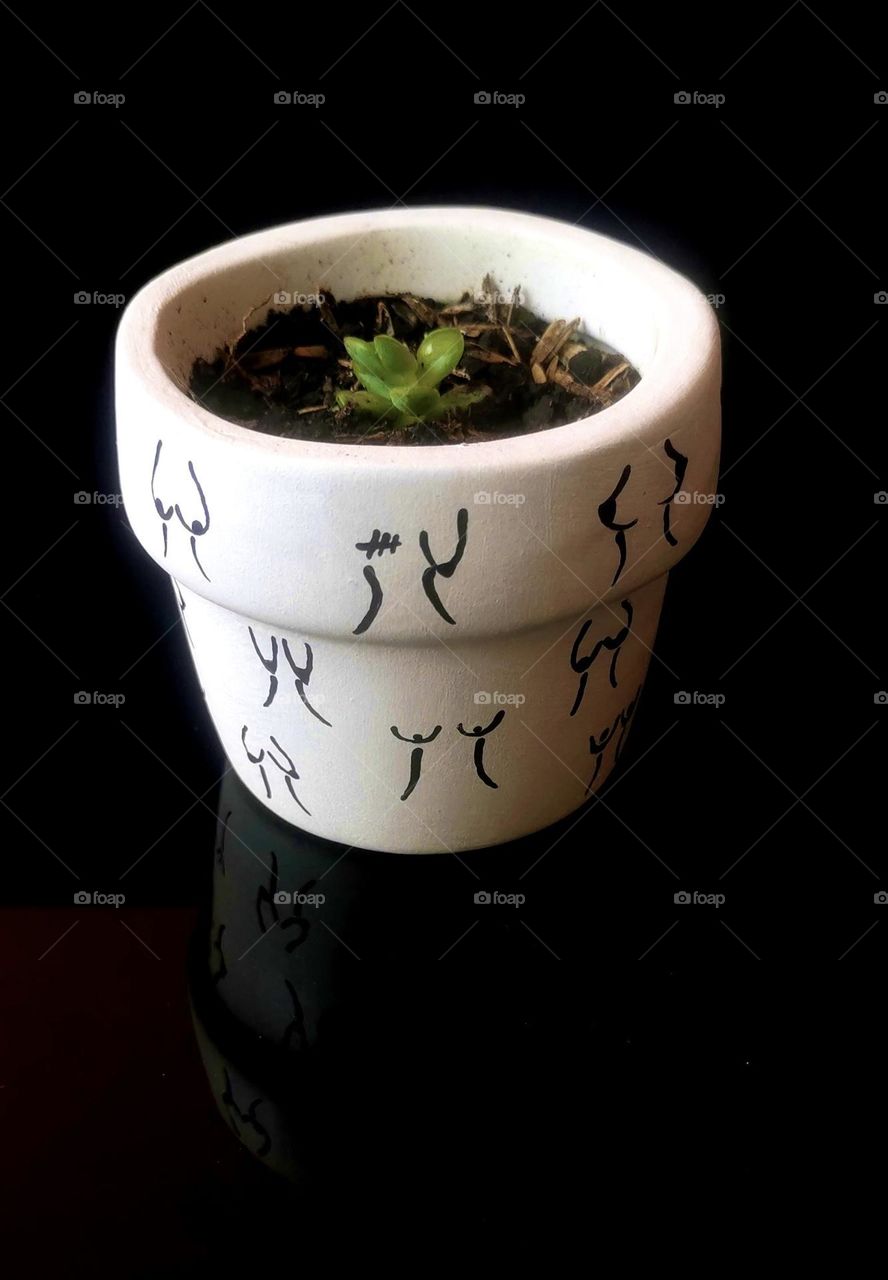 Plant plants on my art- painted by me