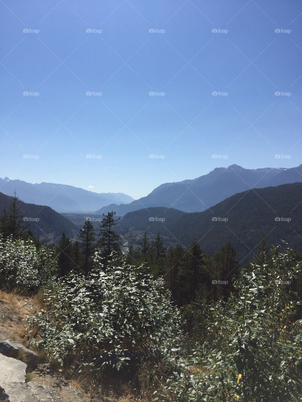 View of North Squamish valley from the Sea to Sky highway; the smoke cleared long enough for blue skies and definition of green trees.