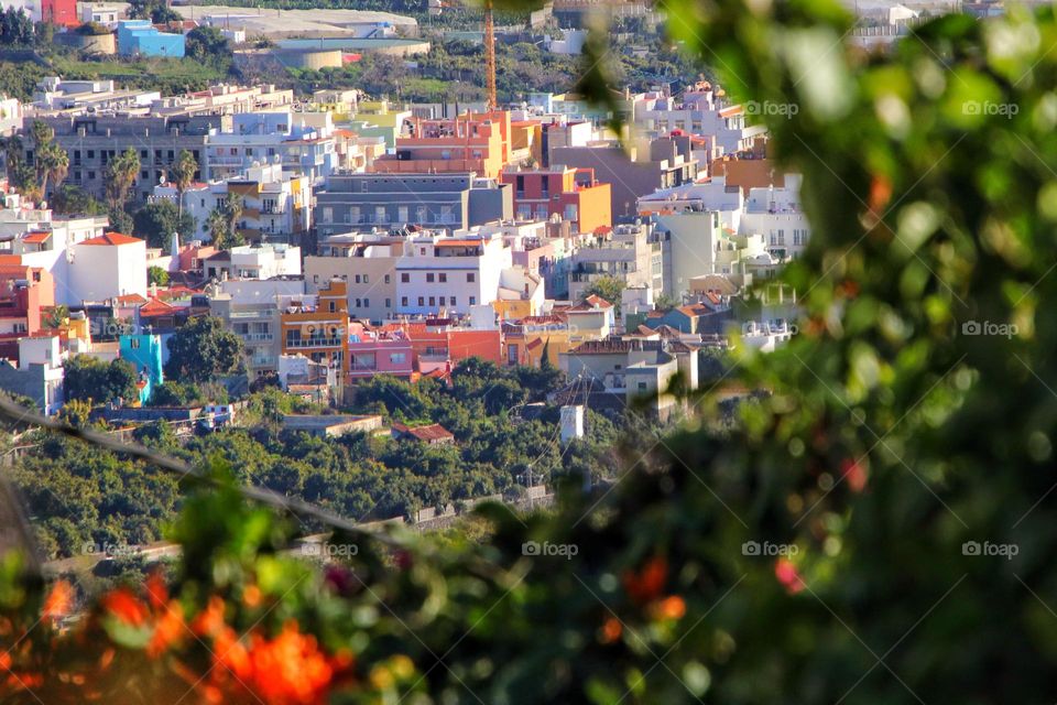 Aerial view of a city with many trees surrounded by flowering hedges