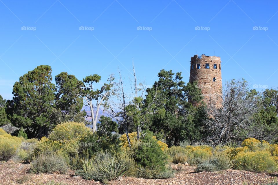 Desert tower
