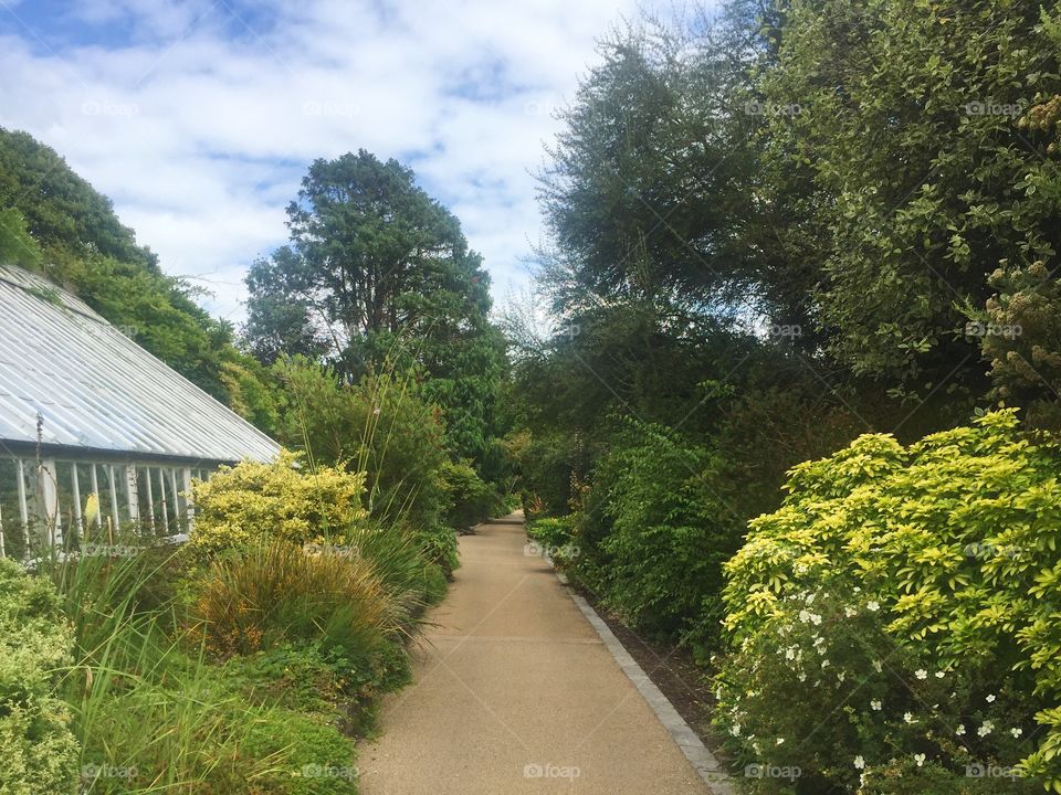 Tree, Garden, Guidance, Landscape, Nature