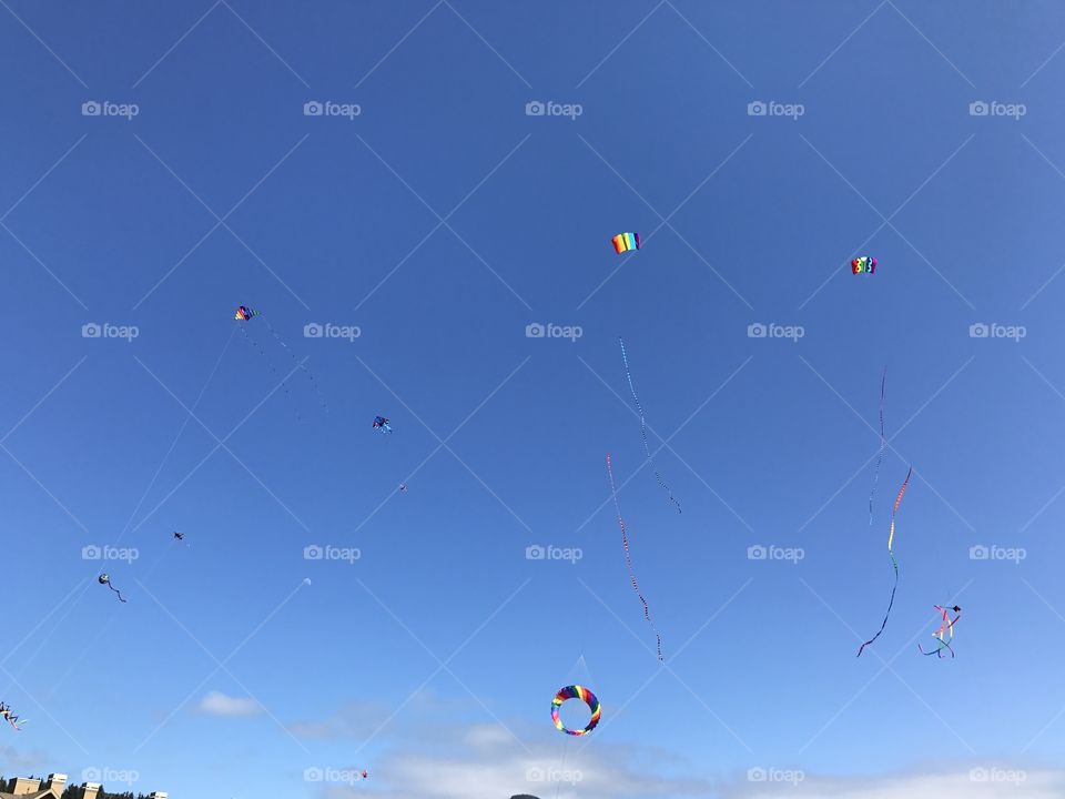 Kites flying in the sky