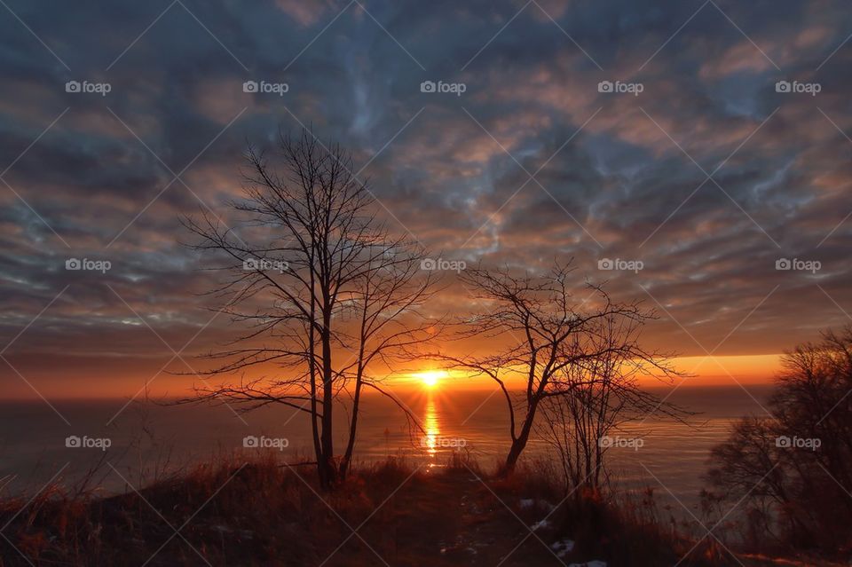 View of bare trees and lake at sunset