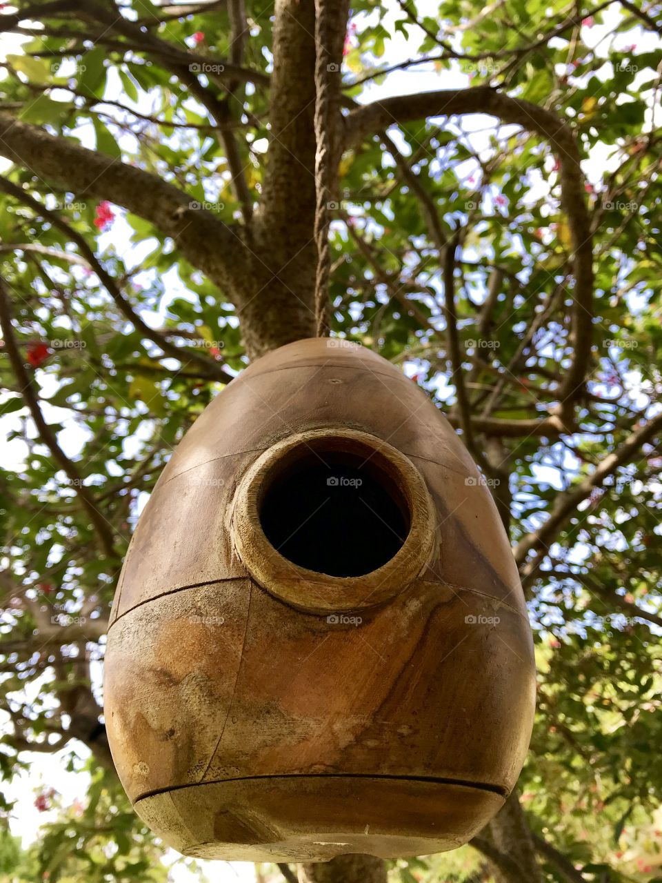 A architecturally designed birdhouse. We bought this bird house at a thrift store and placed outside on a tree. 