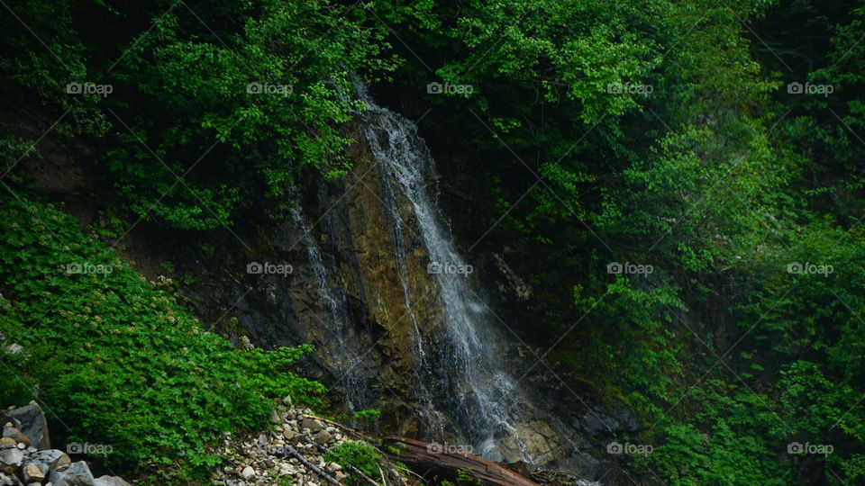 Waterfall, Water, Wood, No Person, Landscape