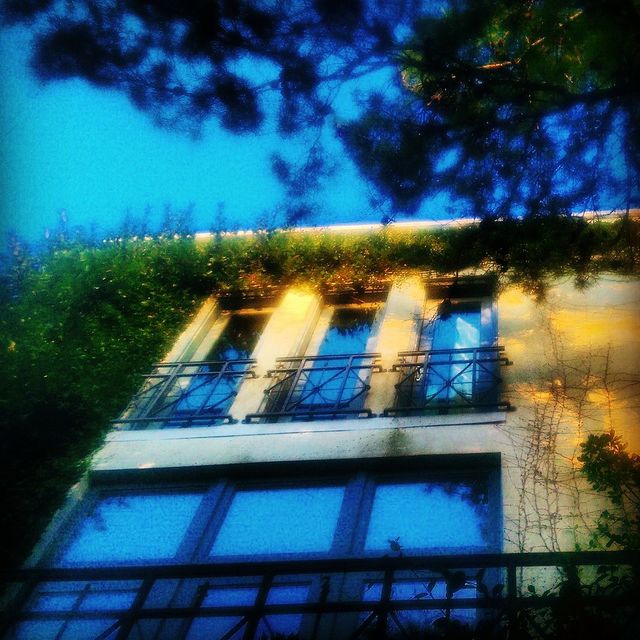 Vinned Facade 