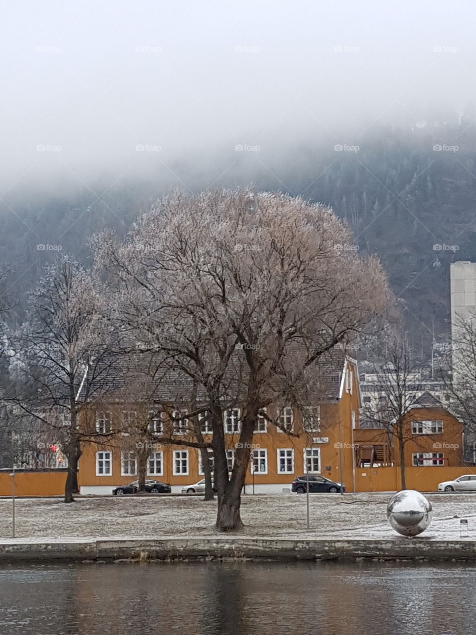 Jack Frost nipping at your nose