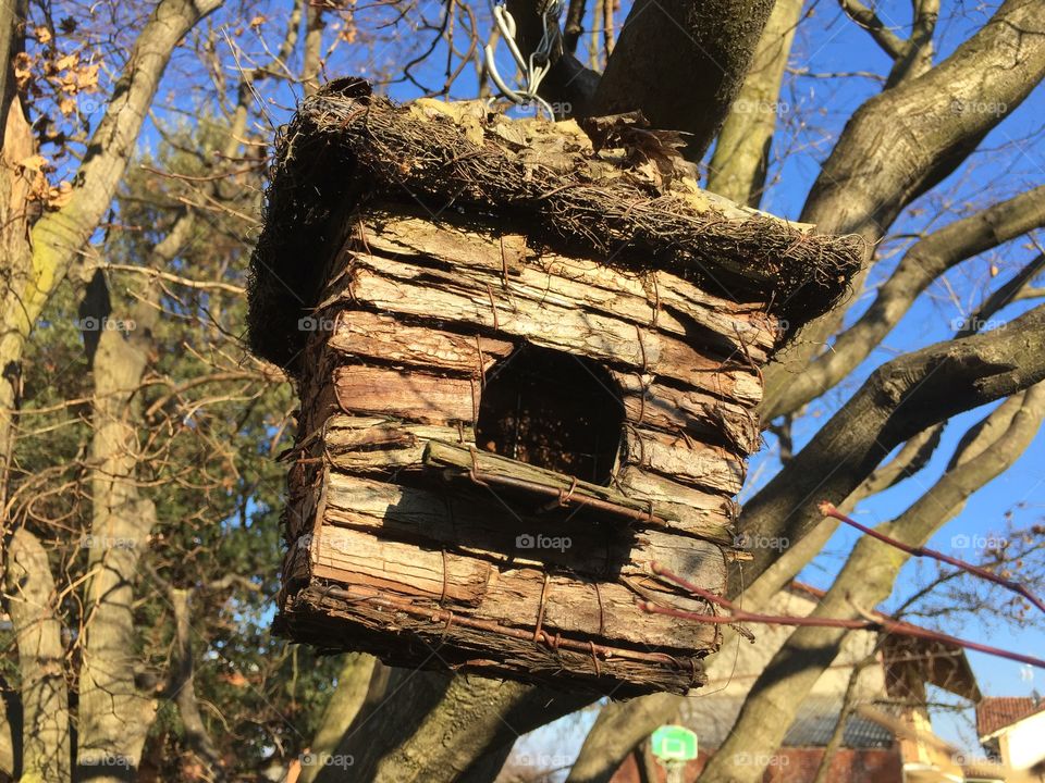nest for birds