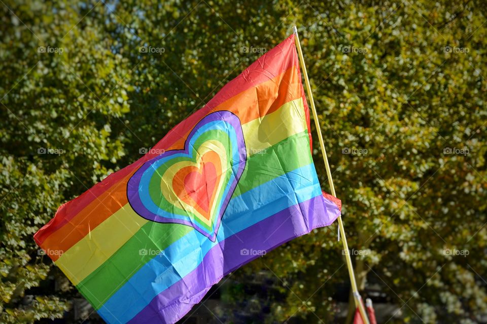 Rainbow flags