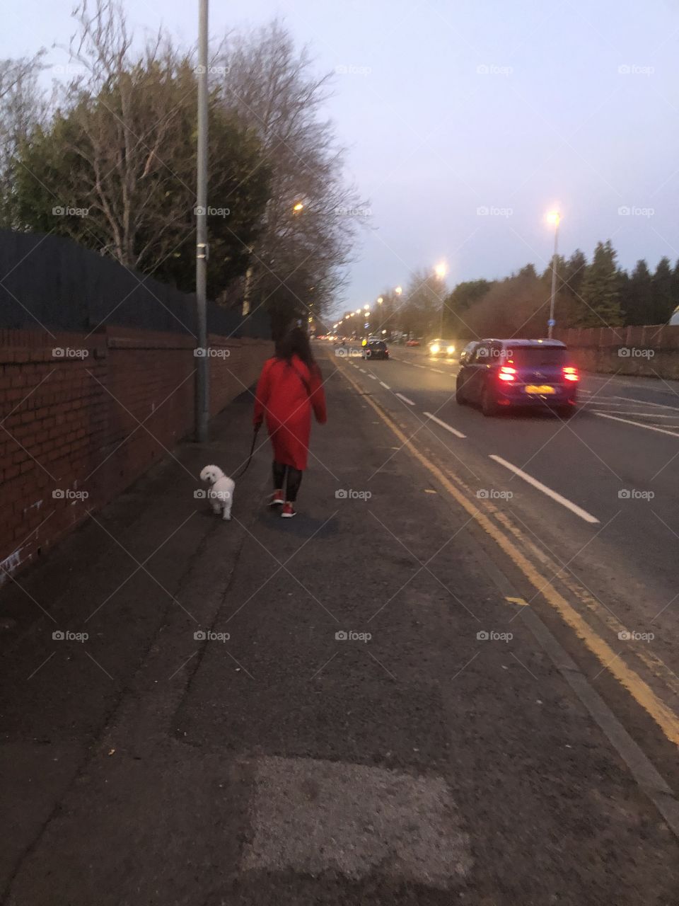 Walking with the dog and keeping distancing to other ,to follow covid rules ordinance.