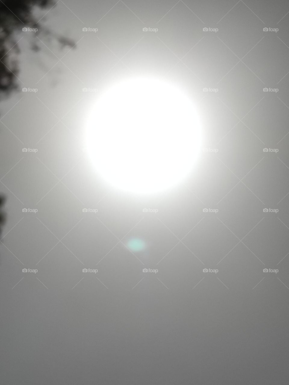 sun
