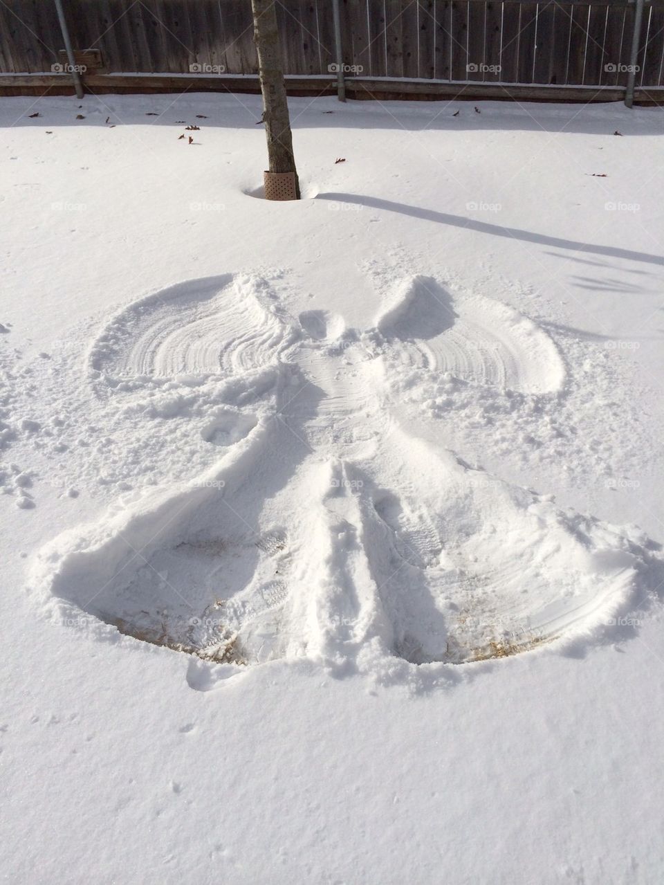 Snow angel