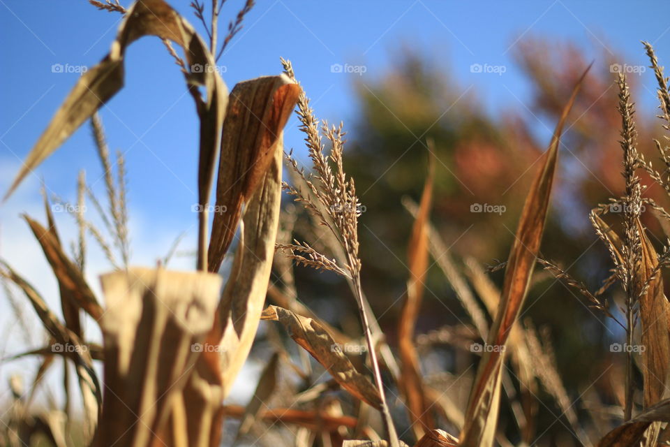 Autumn is here!!!