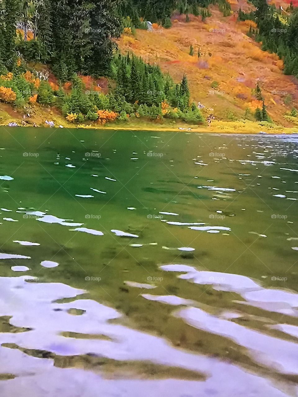 Washington Autumn Park 