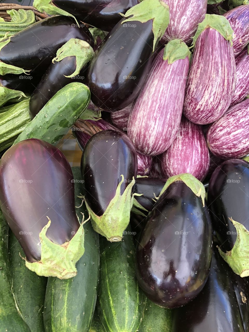 Eggplant 