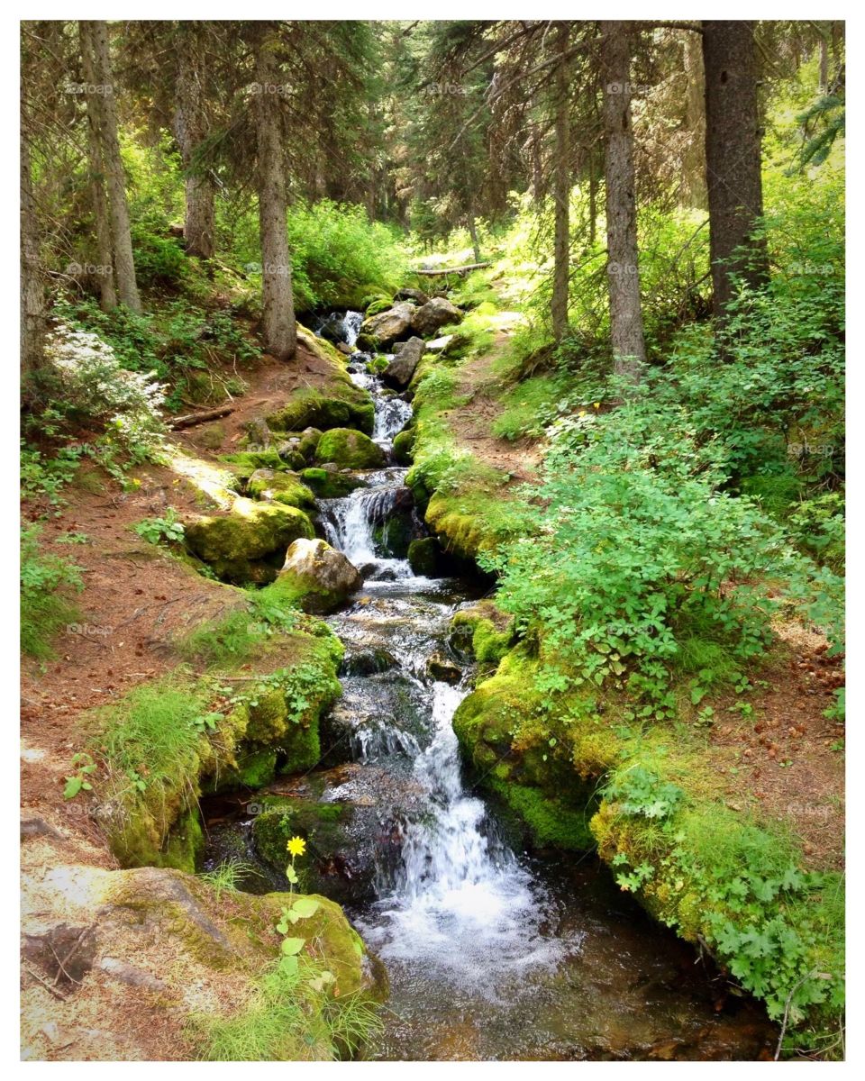 Waterfall in the forest