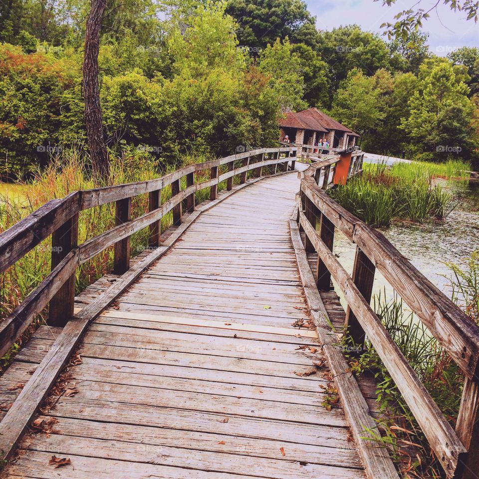Walking trail bridge Herrick Lake, Wheaton IL