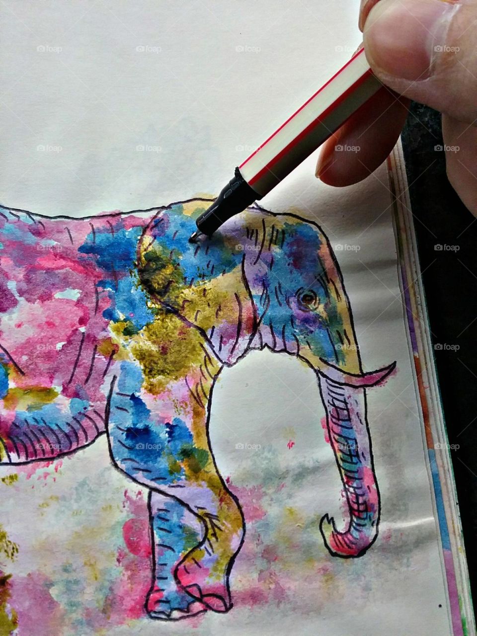 Colorindo o elefante.