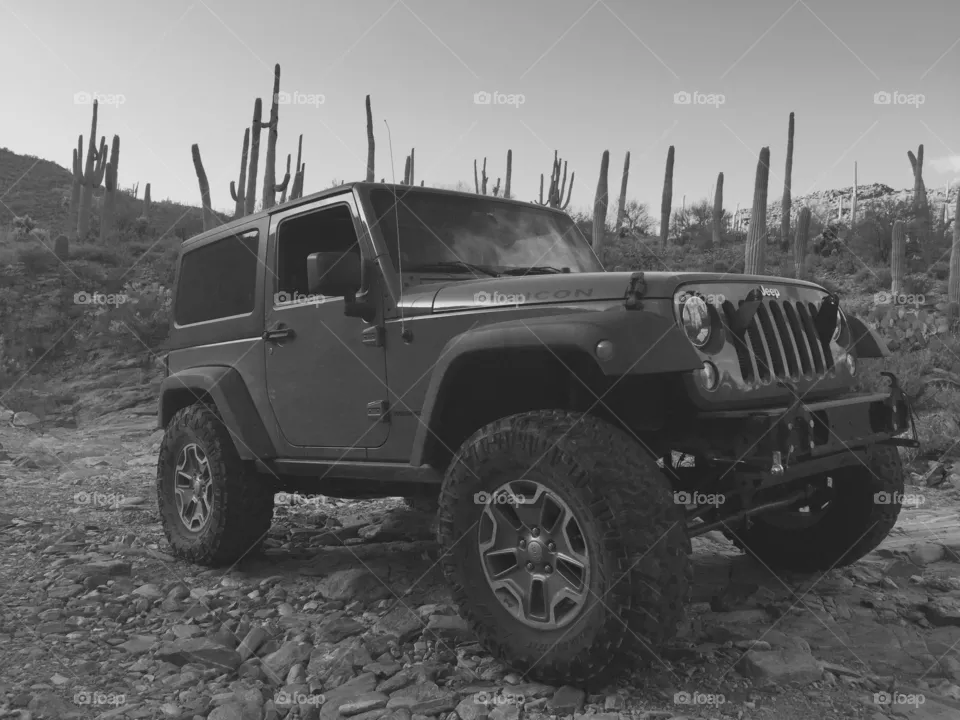 Jeeping Fun