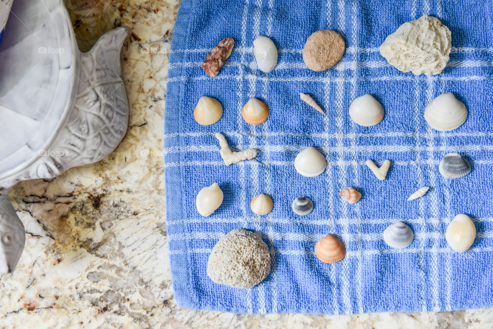Flat lay of a collection of seashells drying on a towel next to a ceramic sea turtle