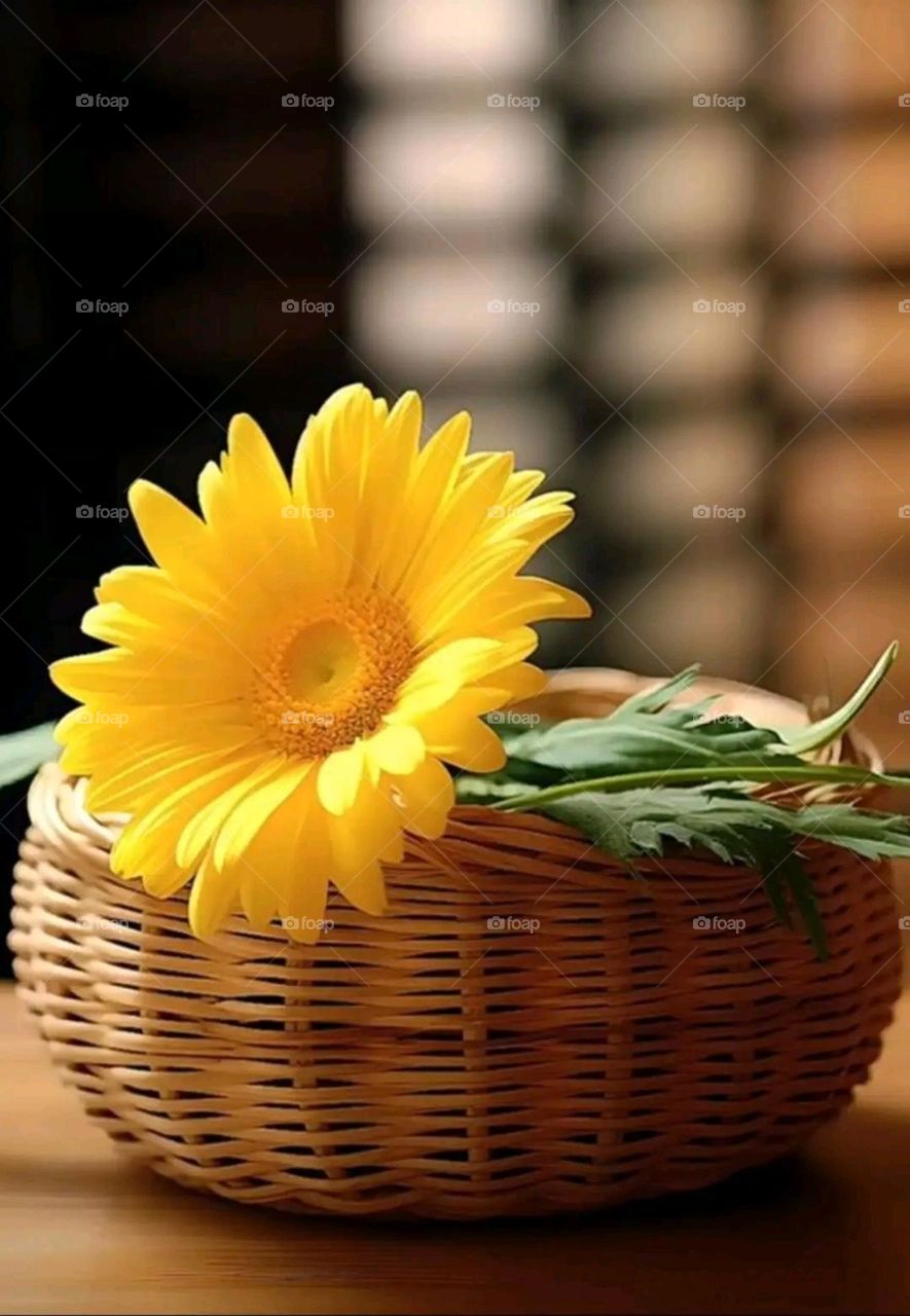 A very beautiful picture, and there is no better picture than it. There is no better picture of green herbs and colorful, red and white roses than it. Glory be to God, the natural and picturesque view, and there is no more