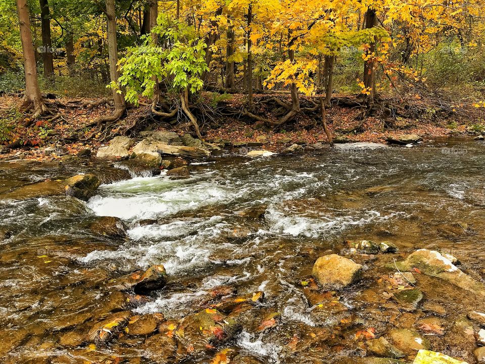 Ellicott Creek in the fall