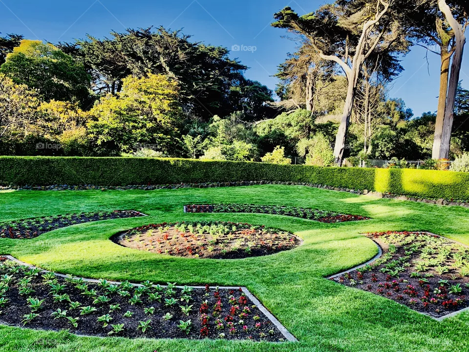 Golden Gate Park
