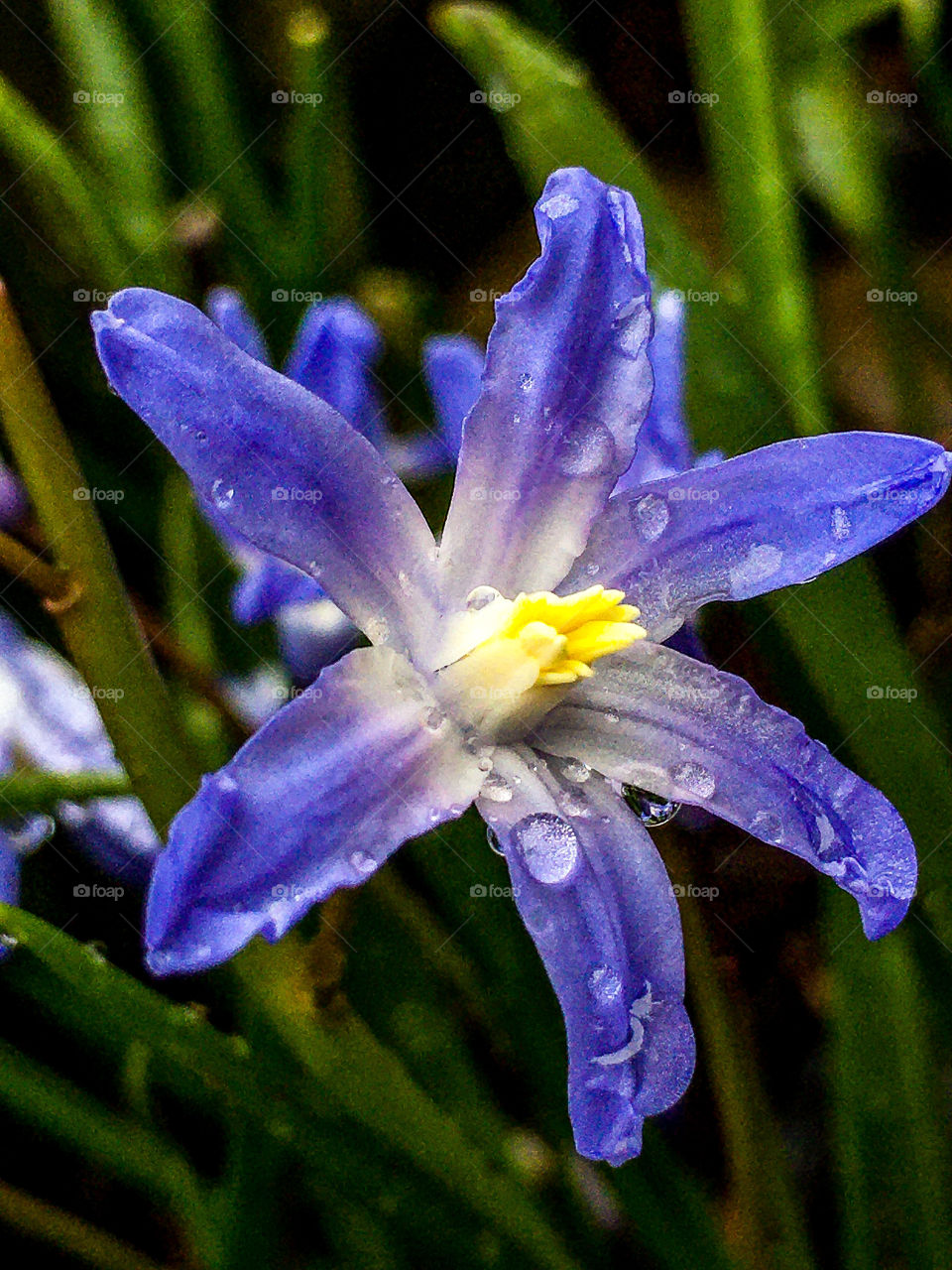 Rainy Day Randomness 