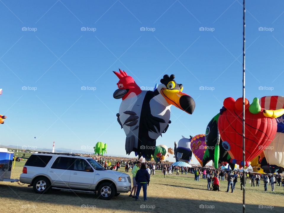 Hot air balloon landing, Brazilian Birds, Albuquerque International Balloon Fiesta 2016