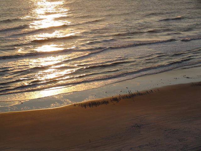 High angle view of beach at sunrise
