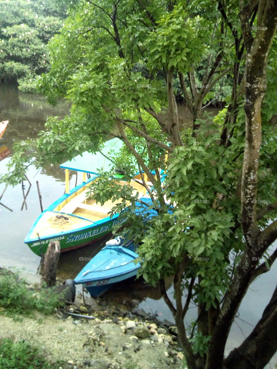 this is ware some of the fish man park there boat after a hard day at work going to the sea