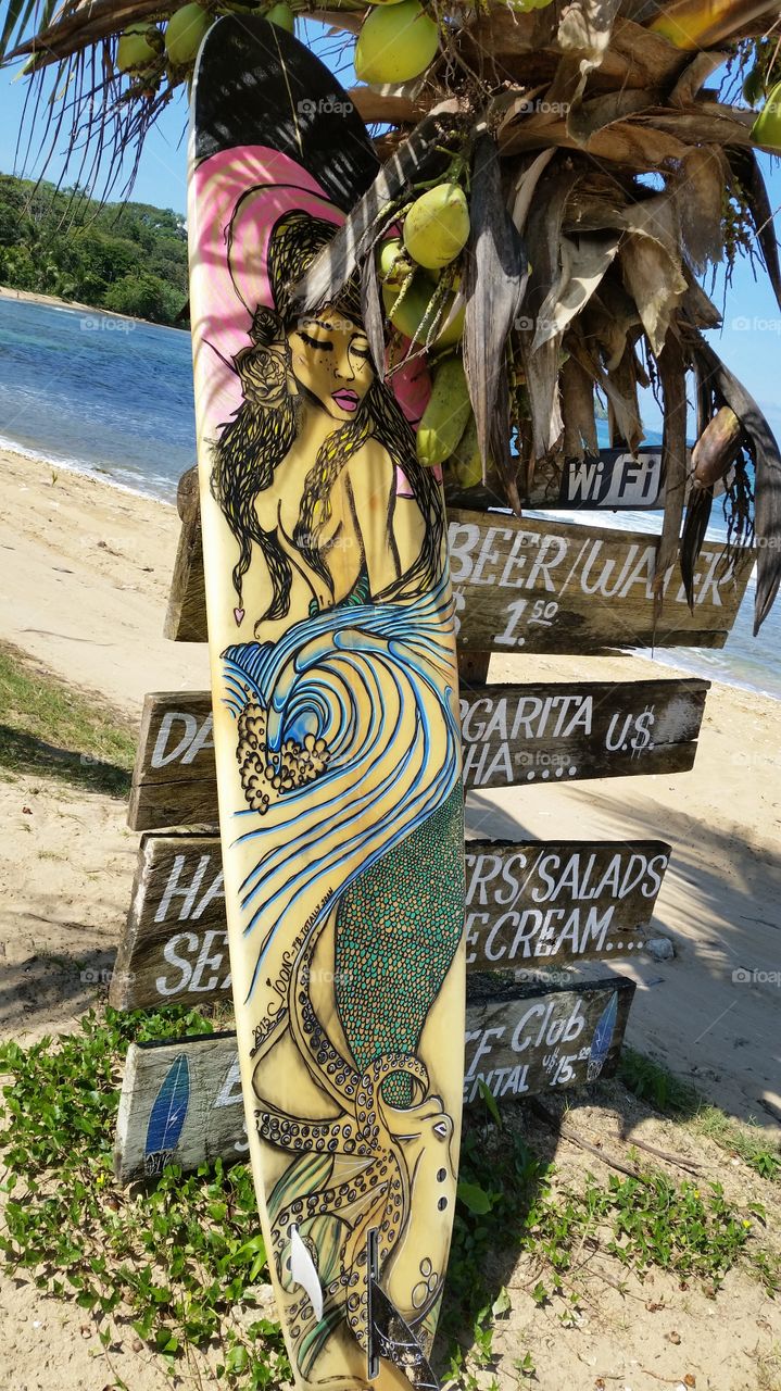 Joan's board . saw this on the way to Playa Bluff, Bocas Island 