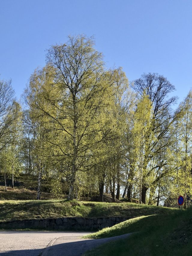 Nature