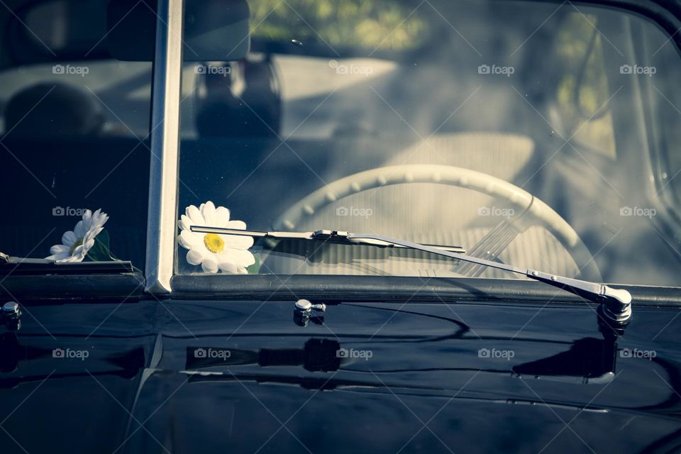 A portrait of a vintage car windstille with a daisy flower behind it and the steering wheel.